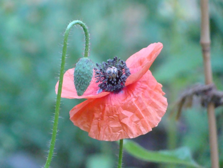 ???????????????????????????????