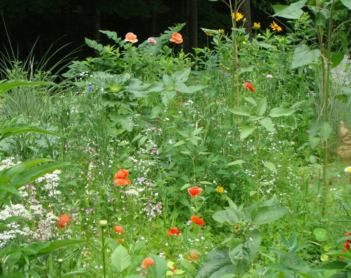 ???????????????????????????????