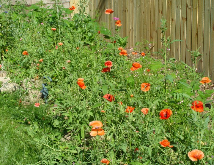 ???????????????????????????????