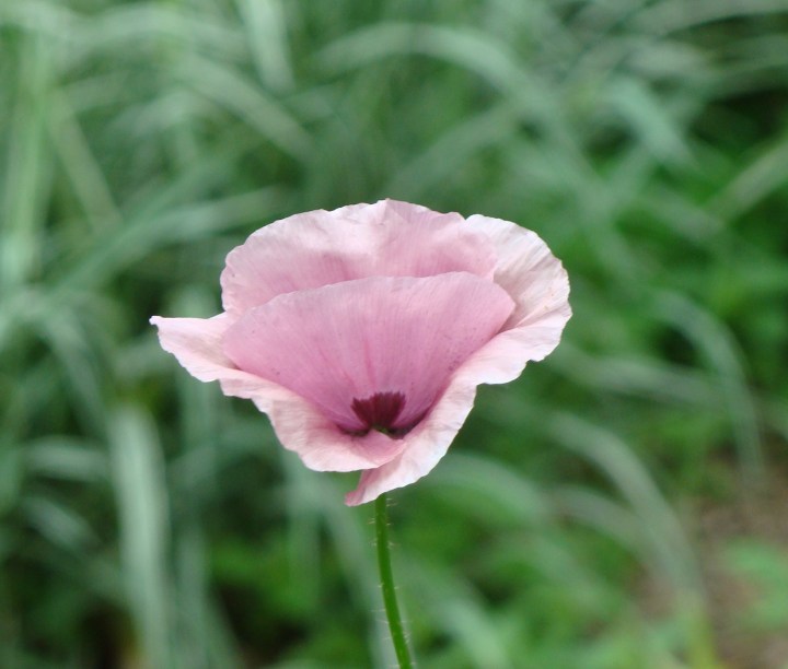 ???????????????????????????????