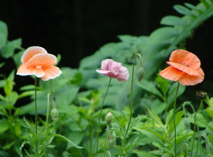 ???????????????????????????????