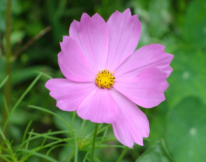 ???????????????????????????????