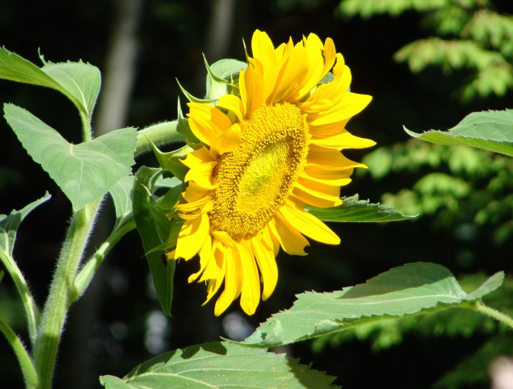 ???????????????????????????????