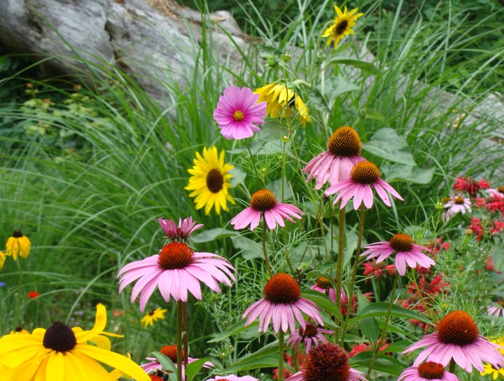 ???????????????????????????????