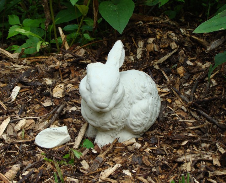 ???????????????????????????????