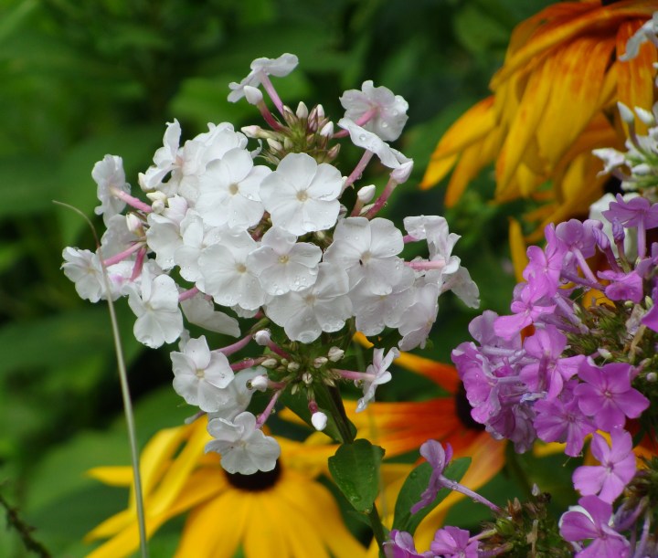 ???????????????????????????????