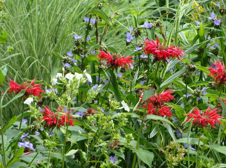 ???????????????????????????????