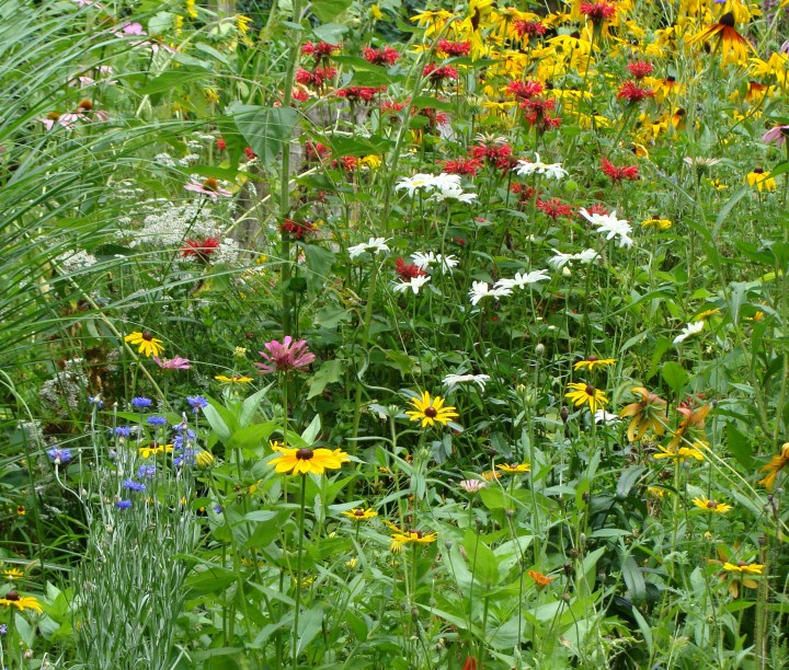 ???????????????????????????????