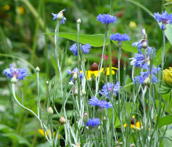 ???????????????????????????????