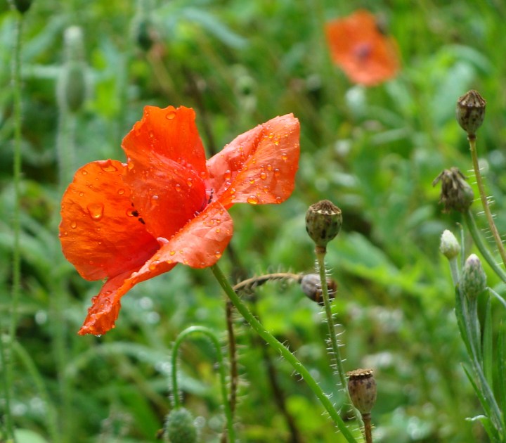 ???????????????????????????????