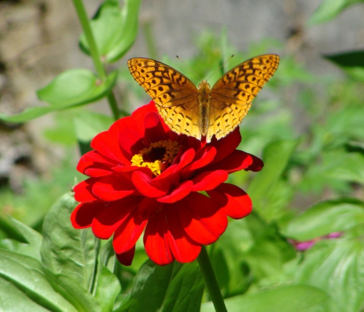 ???????????????????????????????