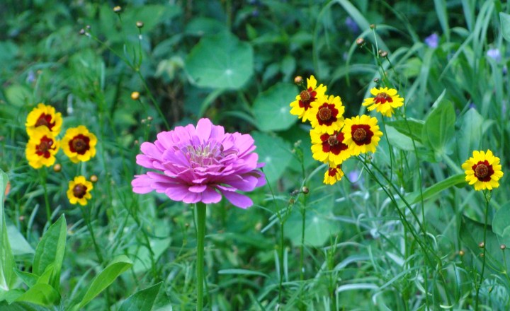 ???????????????????????????????