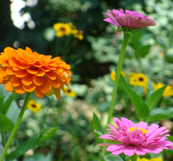 ???????????????????????????????