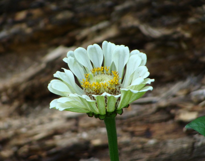 ???????????????????????????????