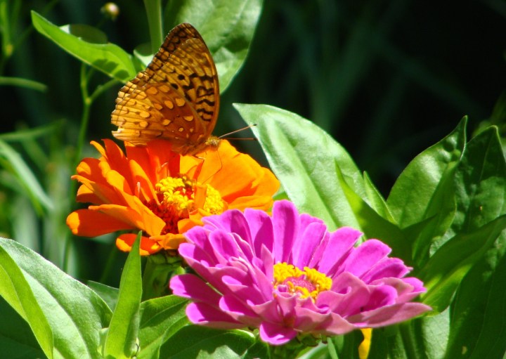 ???????????????????????????????