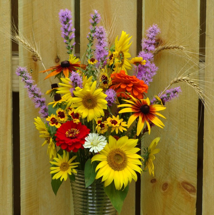 ???????????????????????????????