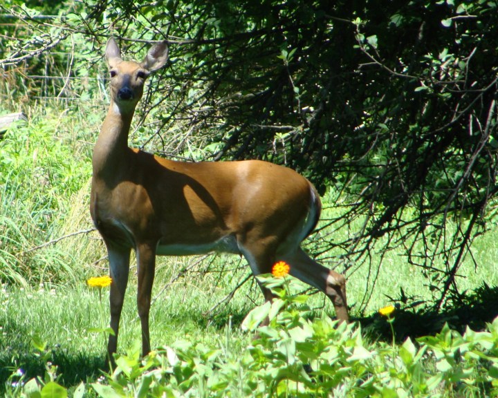 ???????????????????????????????