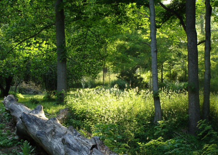 ???????????????????????????????