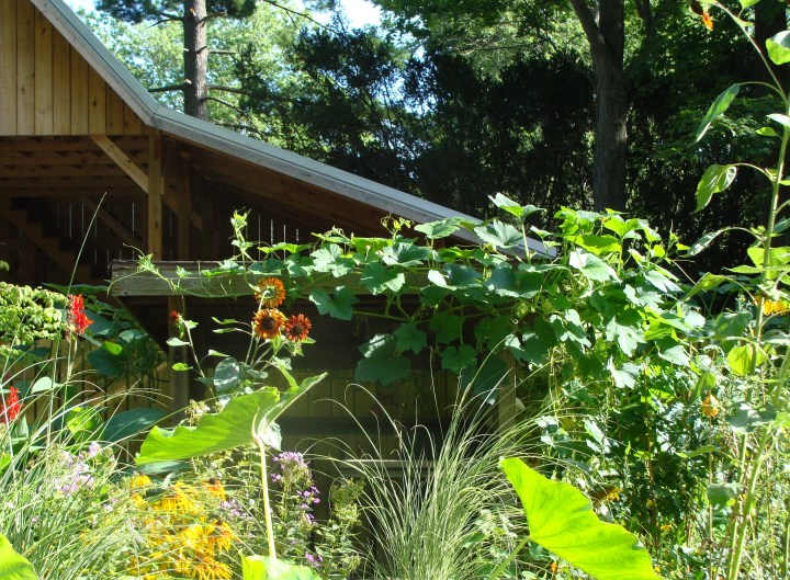 ???????????????????????????????