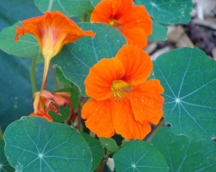 ???????????????????????????????