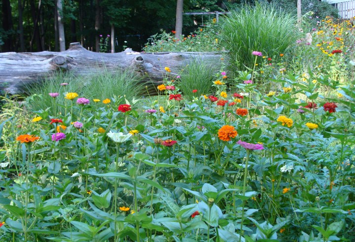 ???????????????????????????????