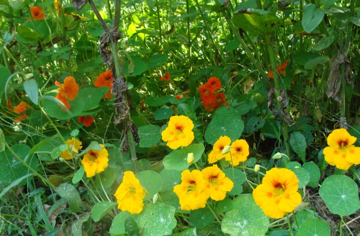 ???????????????????????????????