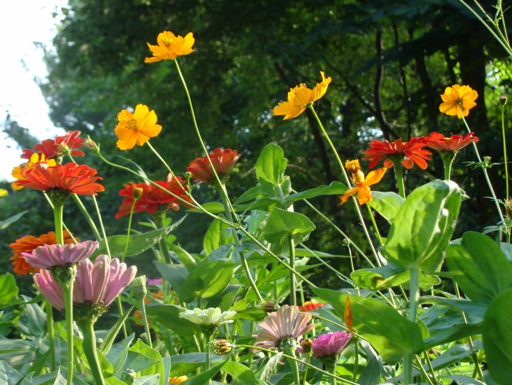 ???????????????????????????????