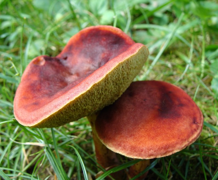 ???????????????????????????????