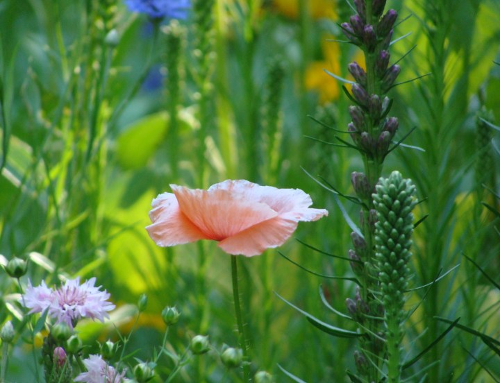 ???????????????????????????????