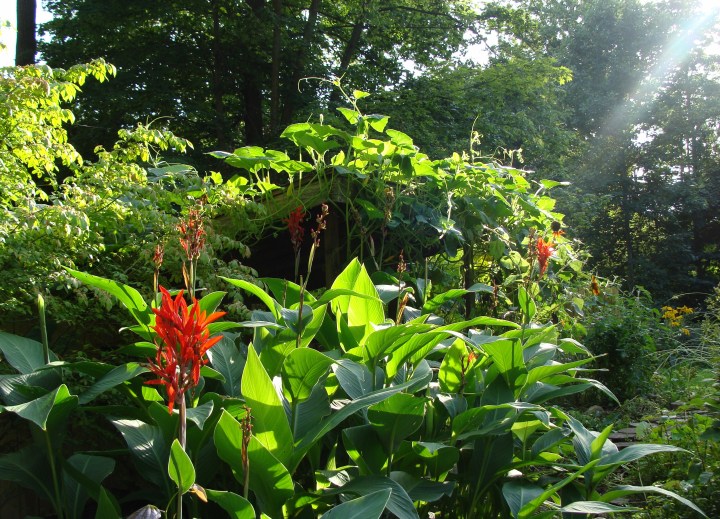 ???????????????????????????????