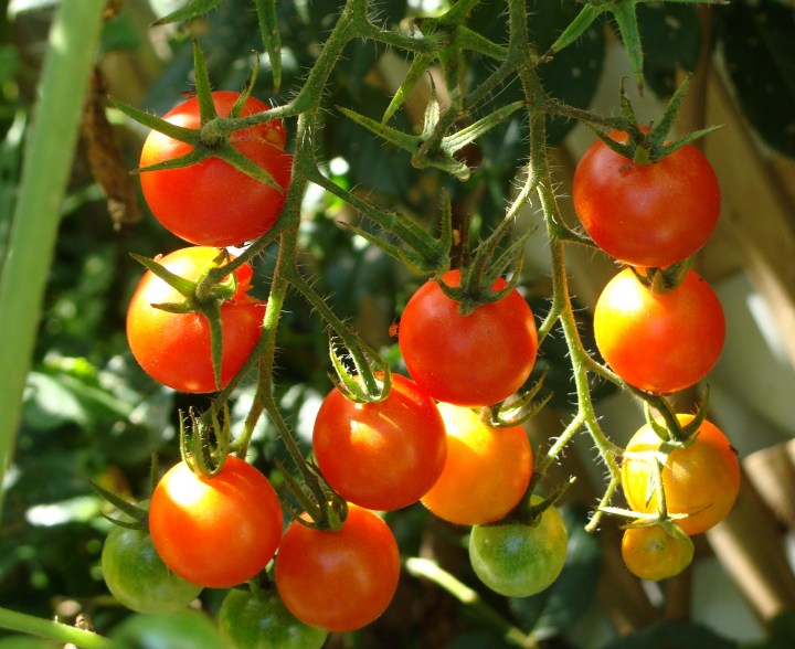 ???????????????????????????????