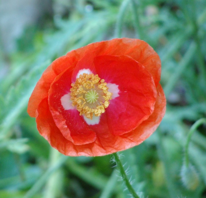 ???????????????????????????????