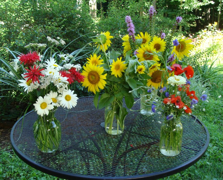 ???????????????????????????????