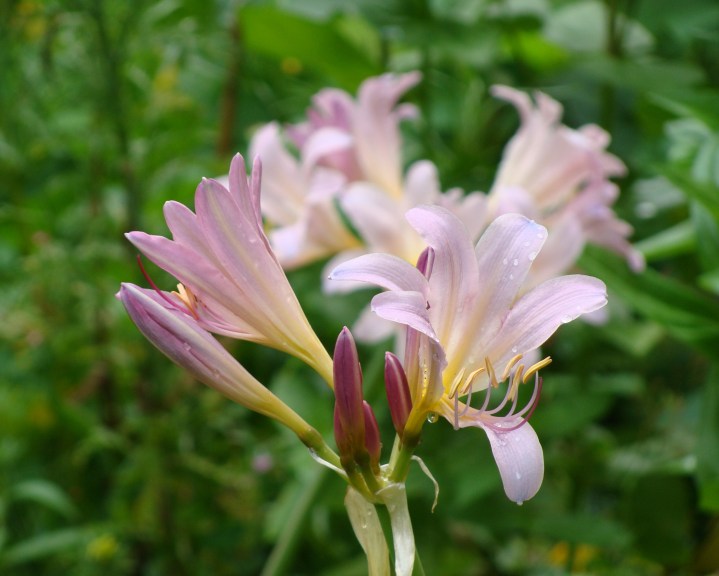 ???????????????????????????????