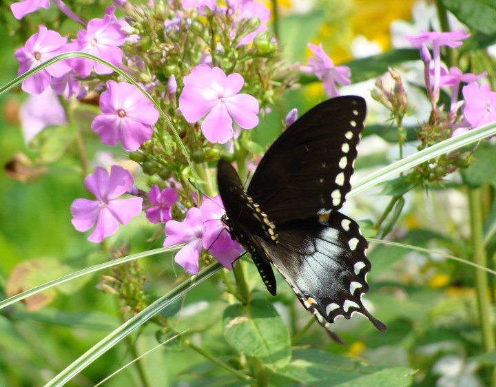 ???????????????????????????????