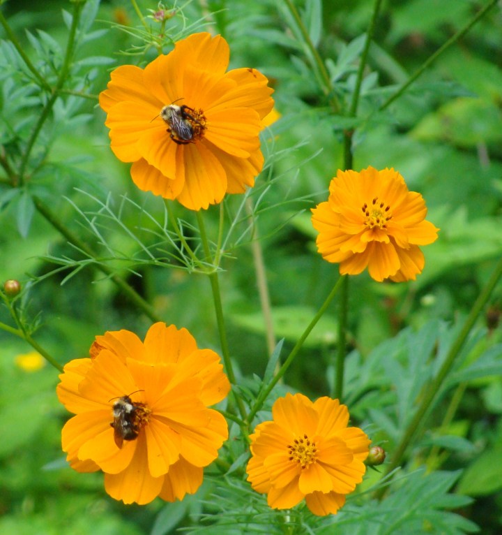 ???????????????????????????????