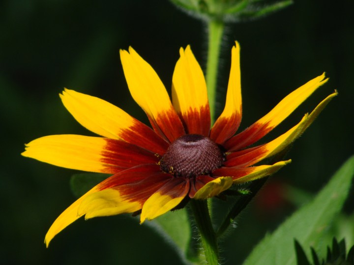 ???????????????????????????????