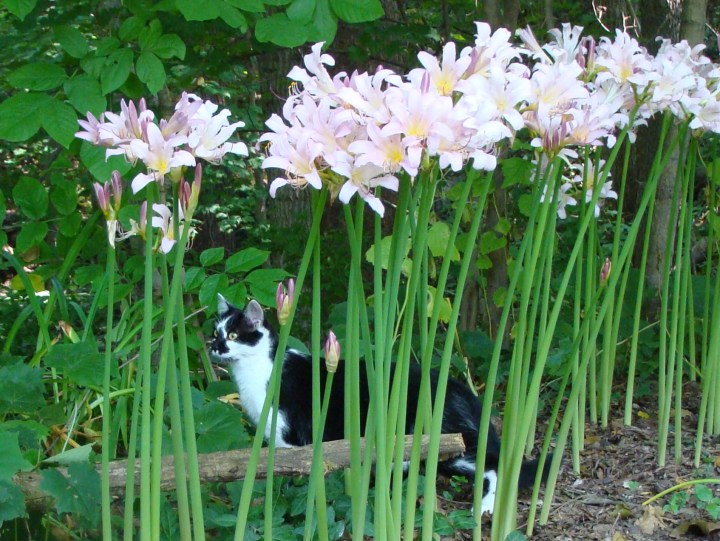 ???????????????????????????????