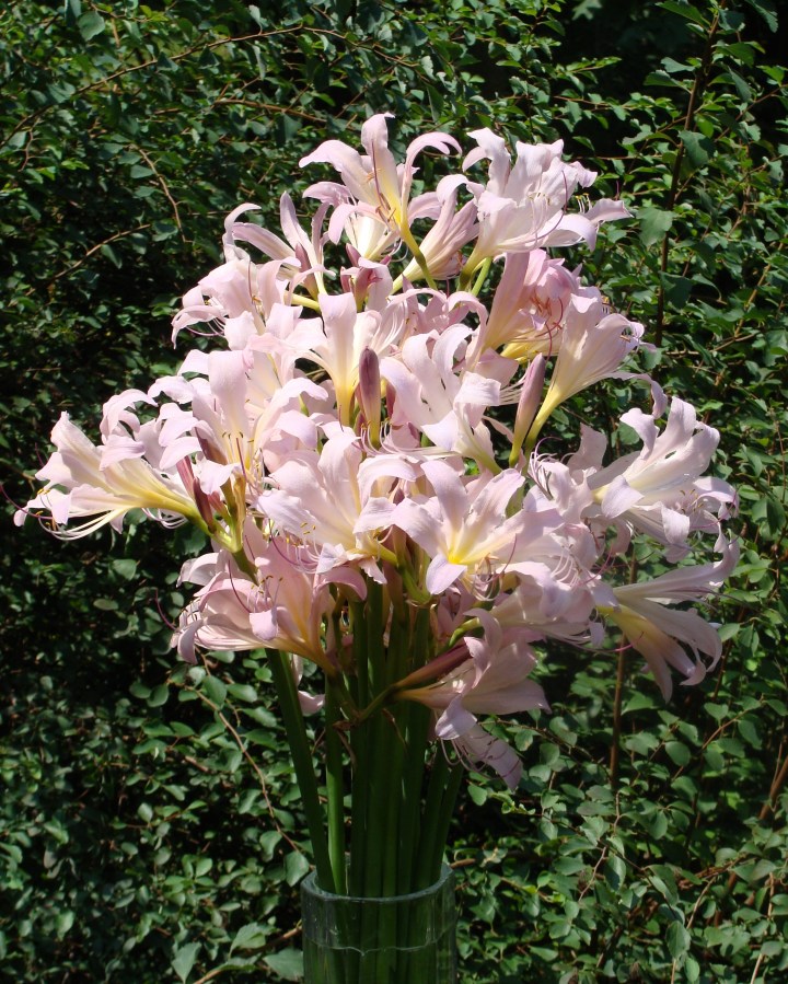 ???????????????????????????????