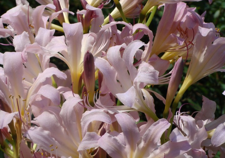 ???????????????????????????????