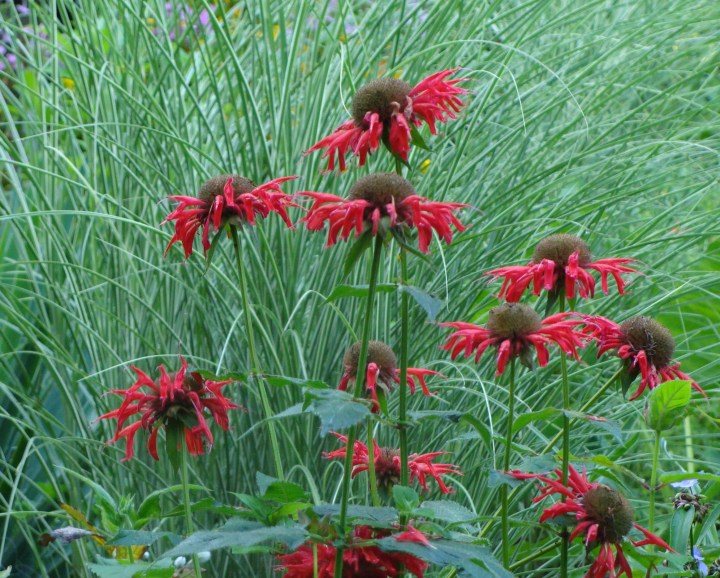 ???????????????????????????????