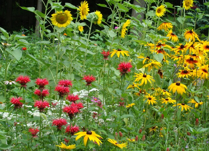 ???????????????????????????????