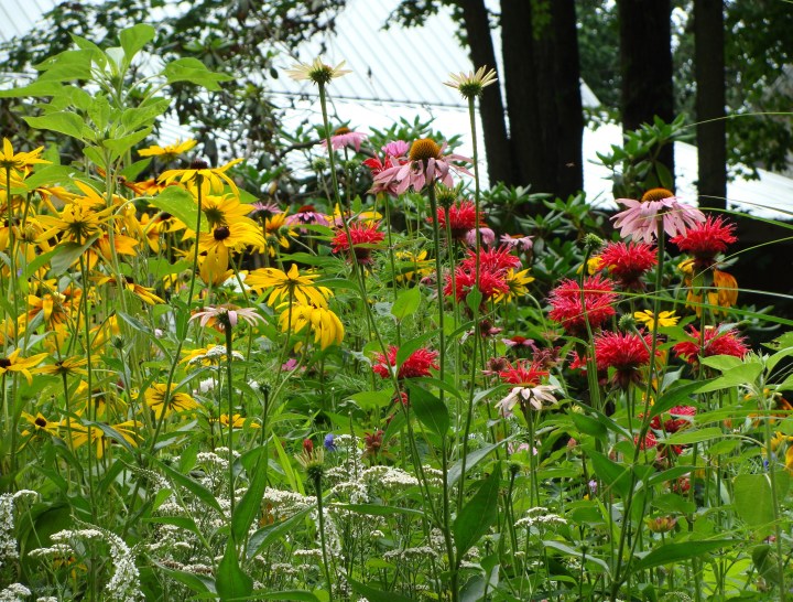 ???????????????????????????????