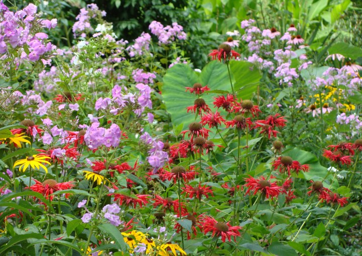 ???????????????????????????????