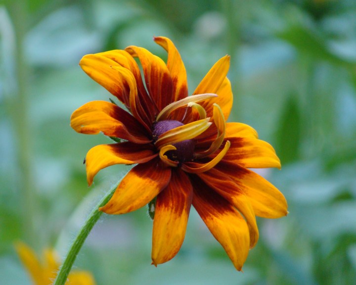 ???????????????????????????????