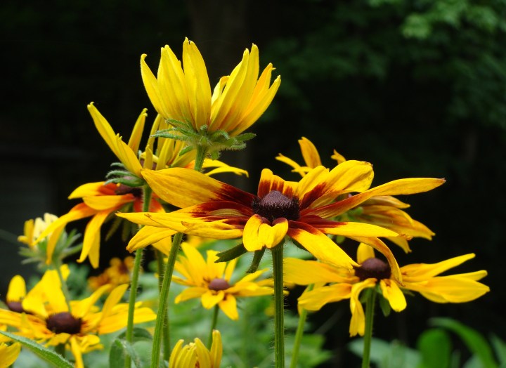 ???????????????????????????????