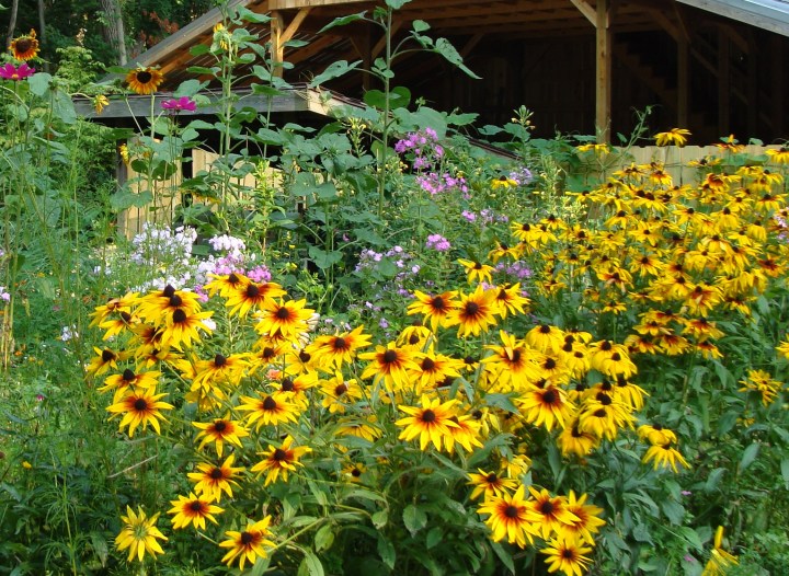 ???????????????????????????????