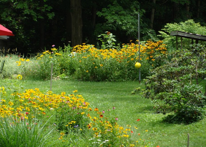 ???????????????????????????????