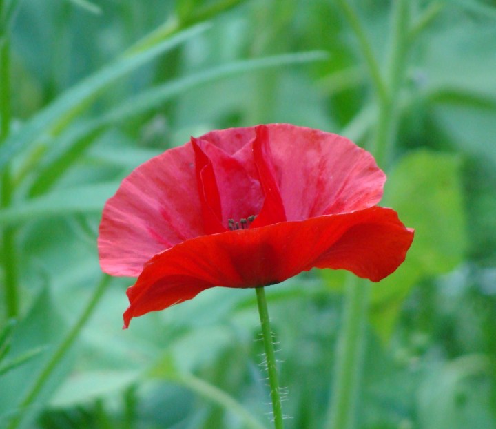 ???????????????????????????????