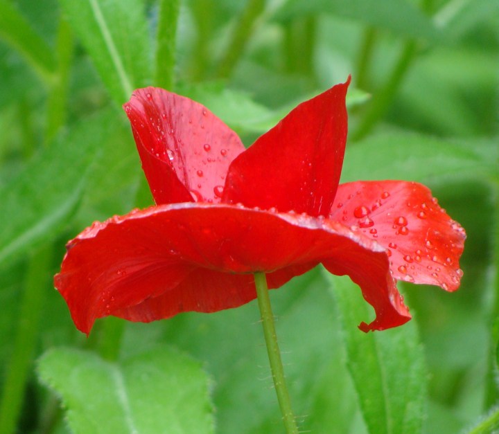 ???????????????????????????????